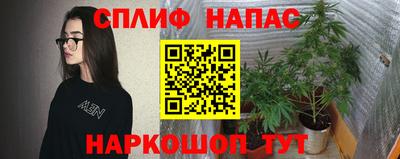 мет Ливны