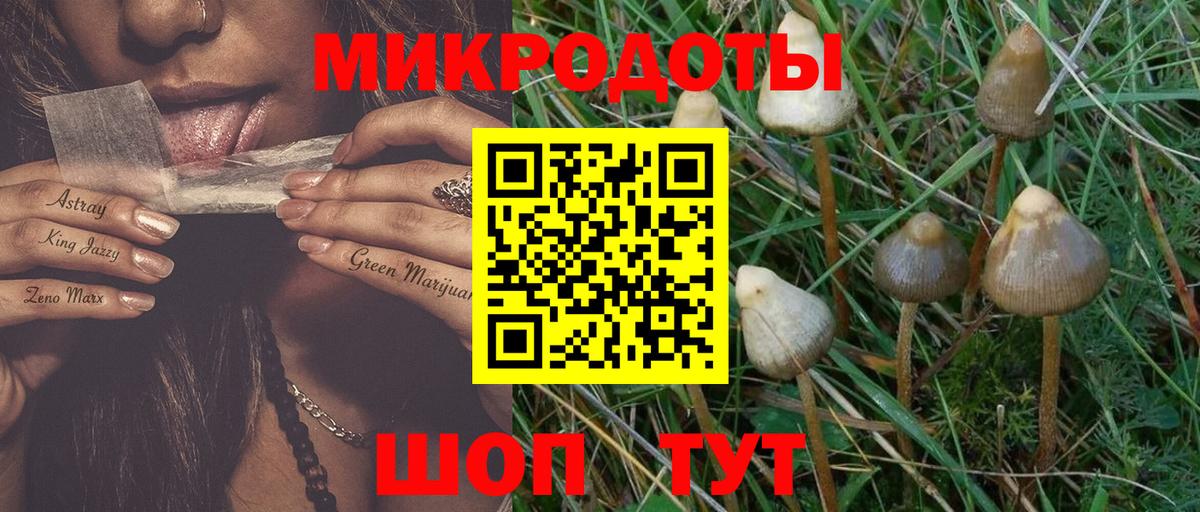 Псилоцибиновые грибы мухоморы Электросталь