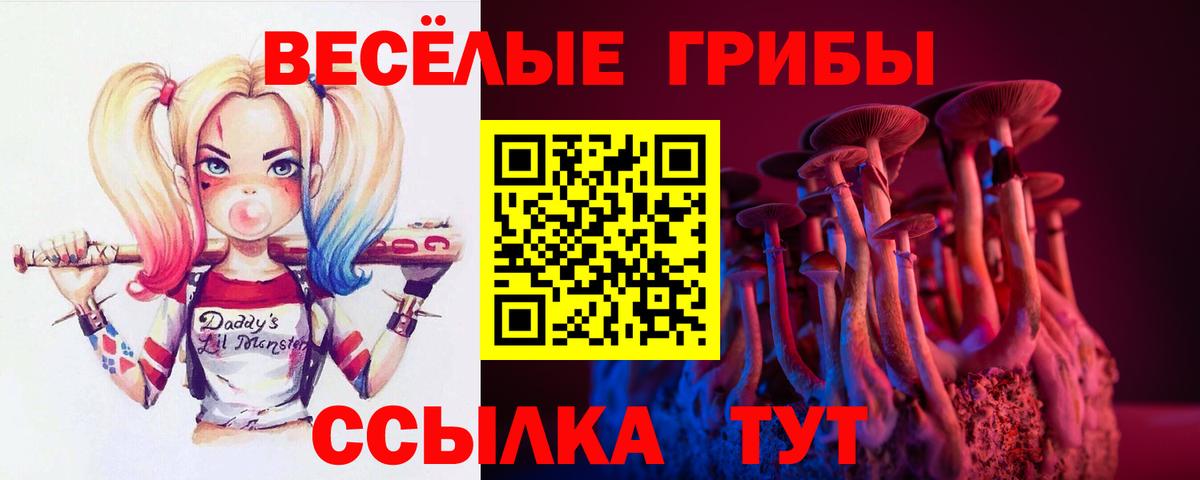 Электросталь  Галлюциногенные грибы Cubensis  цена наркотик  Вход с VPN 